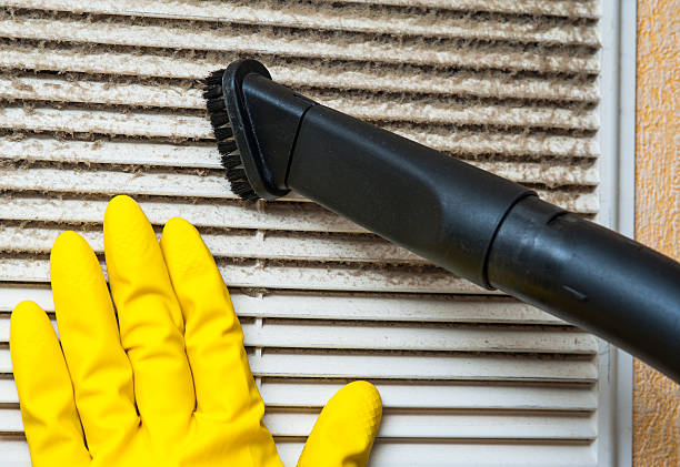 Best Air Duct Mold Removal  in USA